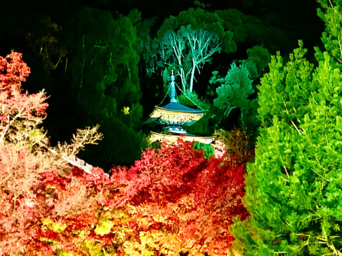 永観堂 禅林寺の紅葉ライトアップ